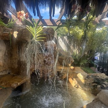 Flamingo Road Nursery - Nurseries & Gardening Near Me - Davie, Florida Flamingo Road Nursery - Nurseries & Gardening Near Me - Davie, Florida