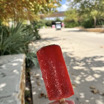 San Antonio Botanical Garden - Ice cold popsicle on a hot summer day - Botanical Gardens Near Me - San Antonio, Texas