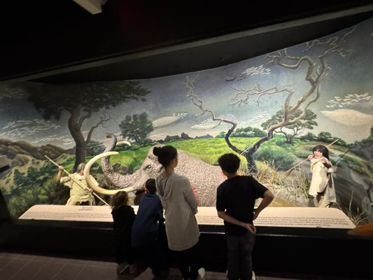 El Paso Museum of Archaeology by null