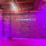 DivaDance Chicago