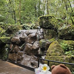 Oregon Zoo - Waterfalls...