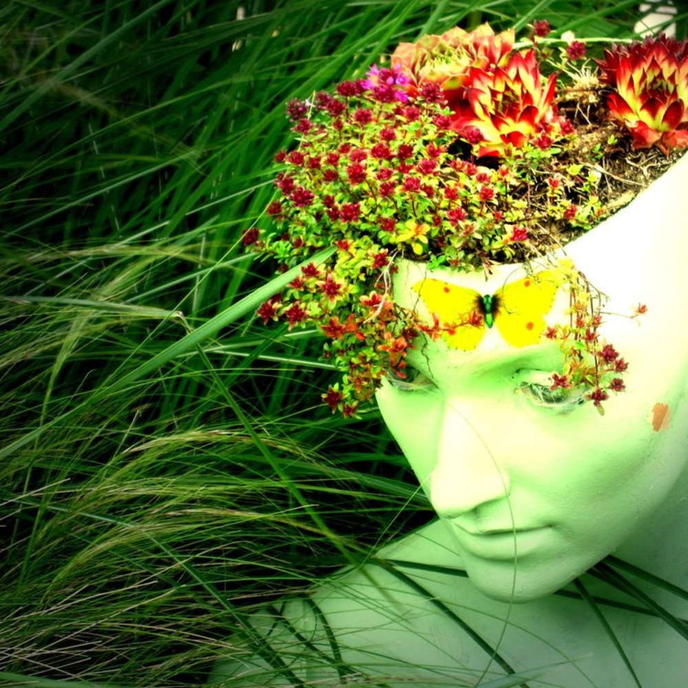 Butterfly World Project - in the gardens - Special Education Near Me - St Albans, HRT