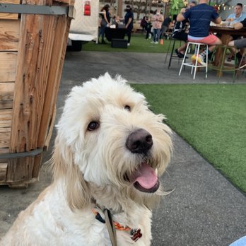 Brewery X - Breweries Near Me - Anaheim, California