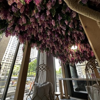 Ritual House - Hanging chairs - Breakfast & Brunch Near Me - Pittsburgh, Pennsylvania Ritual House - Hanging chairs - Breakfast & Brunch Near Me - Pittsburgh, Pennsylvania