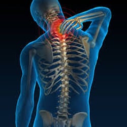 Schwartz Chiropractic and Wellness