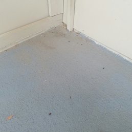 Here is proof of rat dropping on my balcony and the horrible job they did sealing the holes... Here is proof of rat dropping on my balcony and the horrible job they did sealing the holes...