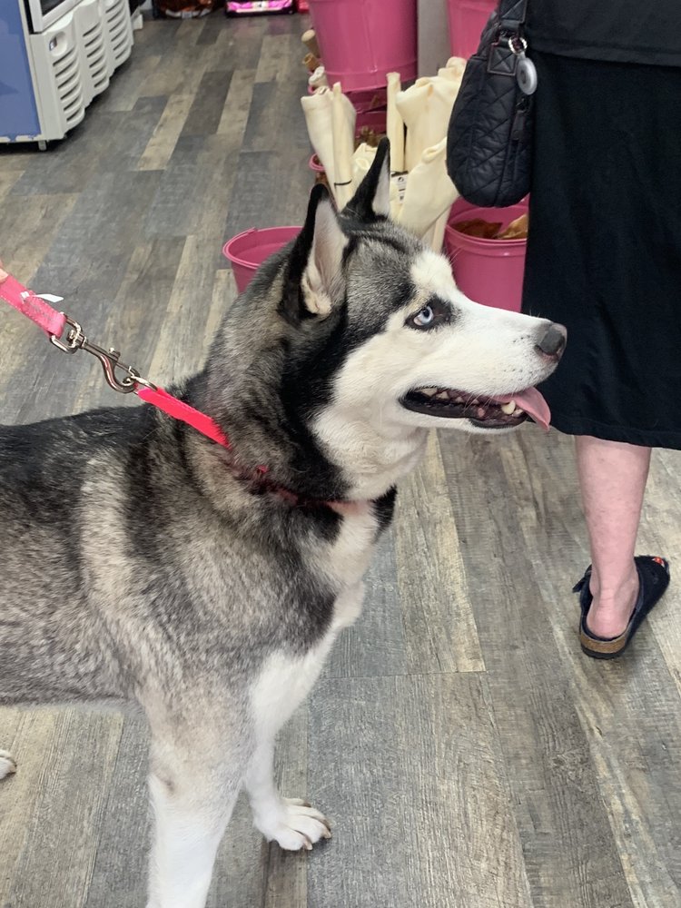 o Jupiter Florida Real Estate For Sale