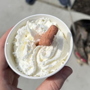Dutch Bros Coffee - Pup cup with a milkbone - Juice Bars & Smoothies Near Me - Morrisville, North Carolina