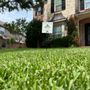 Photo of North Texas Lawn Solutions