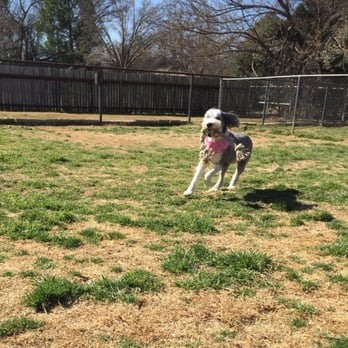 Hilltop Kennels - Pet Sitting Near Me - Argyle, Texas