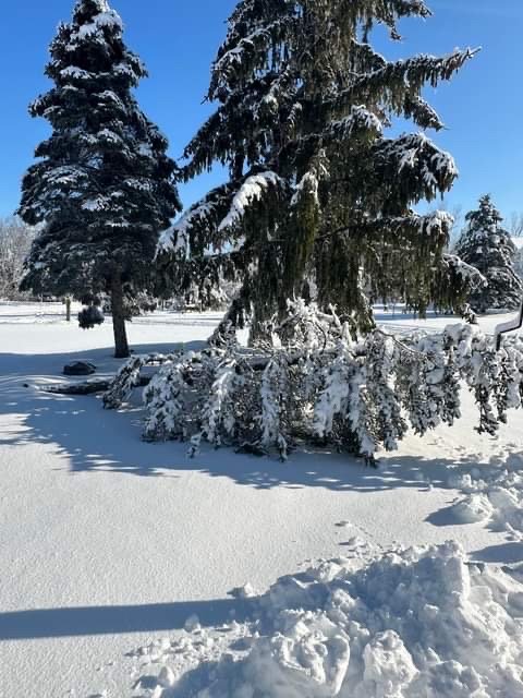 Slide of Curt’s Services