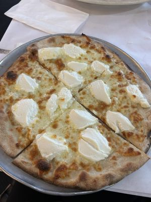 Salvatores of Soho by null