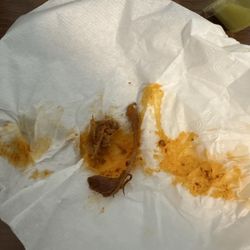 Chicken bone