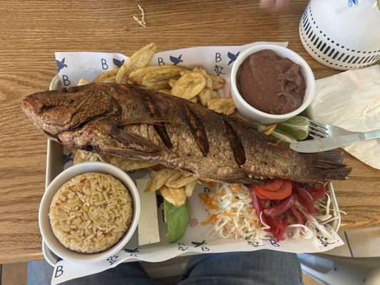 Blue Bird Latin Eatery by null