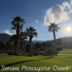 Sensei Porcupine Creek - The most spectacular course ever!