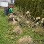 Rojas Landscaping