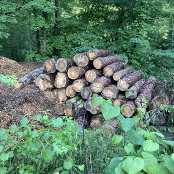 Michiana Timber Management - Logs - Tree Services Near Me Michiana Timber Management - Logs - Tree Services Near Me
