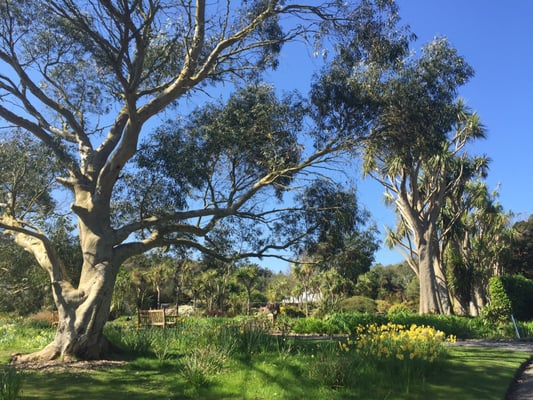 Logan Botanic Garden by null