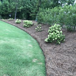 Aguirre Lawn Care and Landscaping - Pinestraw installation
