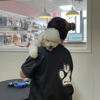 Paw Paw Pet Grooming - Butter's groomer - Pet Groomers Near Me - Alhambra, California Paw Paw Pet Grooming - Butter's groomer - Pet Groomers Near Me - Alhambra, California