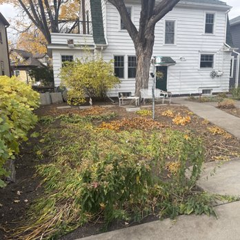 Mowtivated Outdoor Services - Leaves clean up and removal - Lawn Services Near Me - Minneapolis, Minnesota Mowtivated Outdoor Services - Leaves clean up and removal - Lawn Services Near Me - Minneapolis, Minnesota