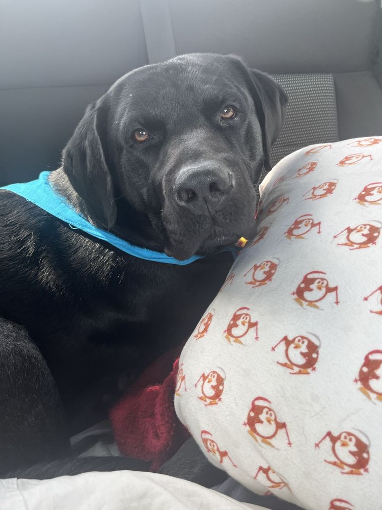 JOHNSONS AUTO REPAIR Updated July 2024 2627 16th Ave S, Moorhead