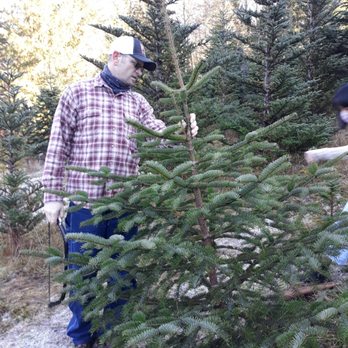 Heart to Heart Tree Farm - Found it and cut it to take home - Christmas Trees Near Me - Sedro-Woolley, Washington