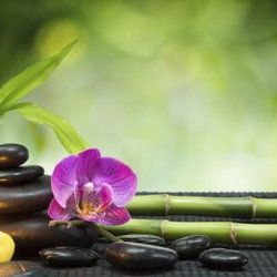Sunny Massage Spa