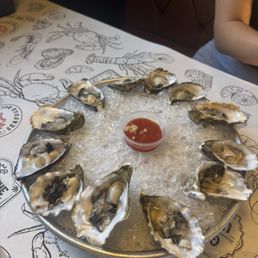 oysters