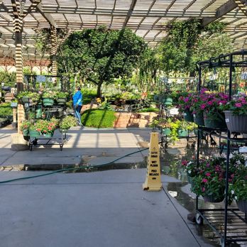 Star Nursery - Shaded "oasis" - Nurseries & Gardening Near Me - Las Vegas, Nevada