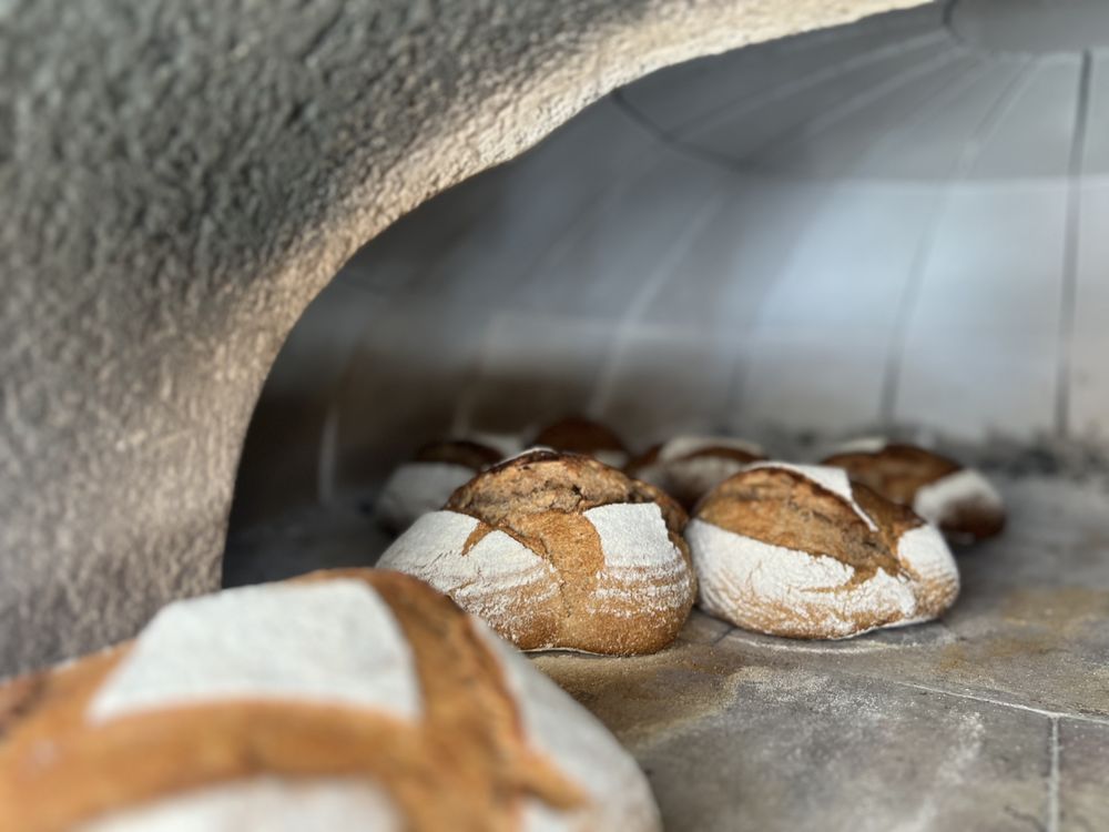 THE MAINE BEER SHED with photos Updated August 2024 33 Photos 394