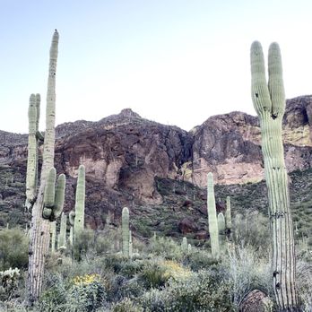 Hieroglyphic Trail Hoa - Hieroglyphic Canyon - Hiking Near Me - Gold Canyon, Arizona Hieroglyphic Trail Hoa - Hieroglyphic Canyon - Hiking Near Me - Gold Canyon, Arizona