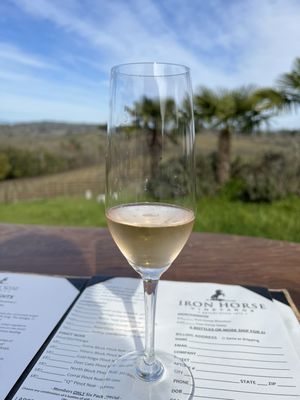 Iron Horse Vineyards by null