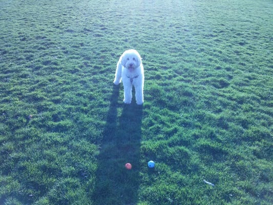 Glenwood Park by null