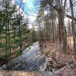 Field & Stream RV Park - Trails to walk on