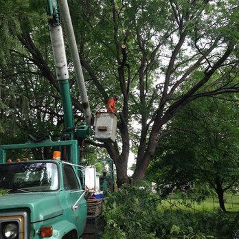 Ganoe Tree Service - Tree Services Near Me - Canandaigua, New York Ganoe Tree Service - Tree Services Near Me - Canandaigua, New York