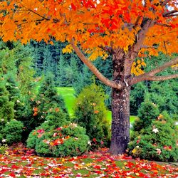 South Whidbey Park & Recreation District