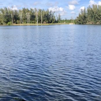 Wolf Lake Park - Turtles and fish in the lake, beautiful surroundings - Parks Near Me - Davie, Florida Wolf Lake Park - Turtles and fish in the lake, beautiful surroundings - Parks Near Me - Davie, Florida