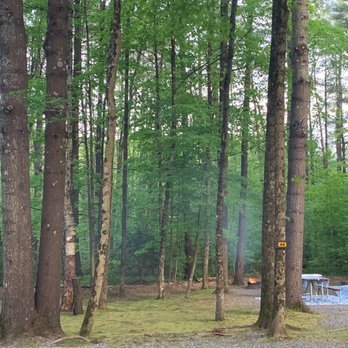Lake Bomoseen KOA - Tall trees - RV Parks Near Me - Bomoseen, Vermont Lake Bomoseen KOA - Tall trees - RV Parks Near Me - Bomoseen, Vermont