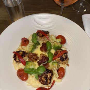 OLIVIA - Scallops - Italian Near Me - Tampa, Florida OLIVIA - Scallops - Italian Near Me - Tampa, Florida