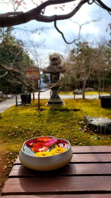 Shōrin-ji Temple by null