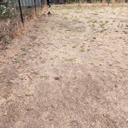 Small dog park.