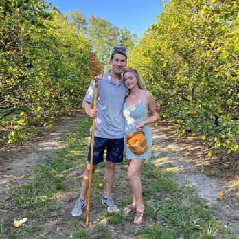 Dooley Groves - Rebecca and Sam. - Fruits & Veggies Near Me - Ruskin, Florida Dooley Groves - Rebecca and Sam. - Fruits & Veggies Near Me - Ruskin, Florida