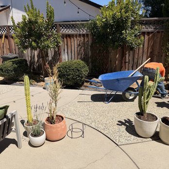 Vision LC Inc - Before - Landscaping Near Me - San Jose, California Vision LC Inc - Before - Landscaping Near Me - San Jose, California