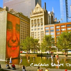 Chicago Savvy Tours in Chicago gift card