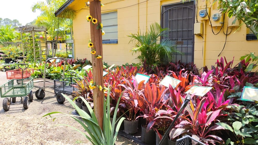 BUTCHERS LANDSCAPING & NURSERY 22 Photos 3629 W International