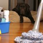 Photo of H2O Cleaning Service