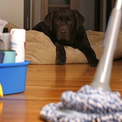 H2O Cleaning Service