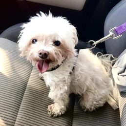 Clyde riding shotgun, approved as well.