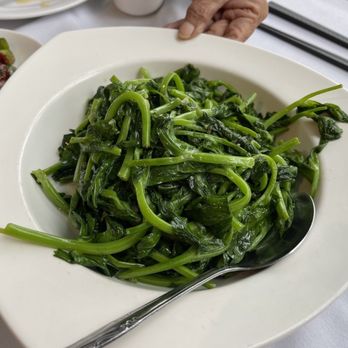 Oak Tree Inn - Snow pea leaves delicious - Chinese Near Me - South Pasadena, California